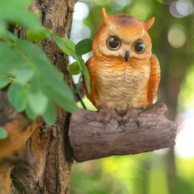 Decorative Solar Zoo Lamp – Owl / Chameleon / Toucan / Raccoon – (1 LED)
