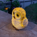 Decorative Owl Solar Garden Lamp – Brown/White – (1 LED)