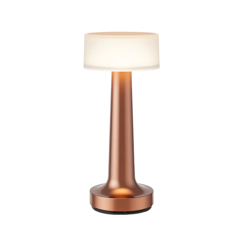 Luxury Dimmable Table Lamp with LED Lighting and Stylish Design