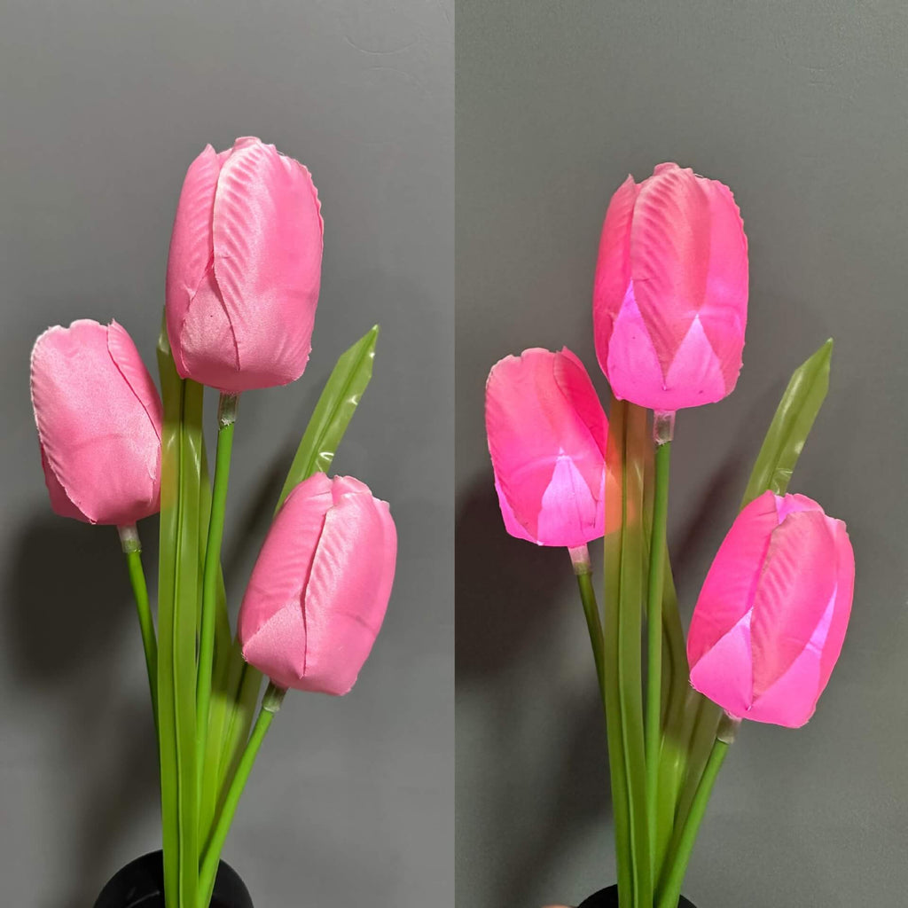 Solar LED Garden Lamp with Tulip Design – Pink/Purple/Blue/Yellow – (1 LED)