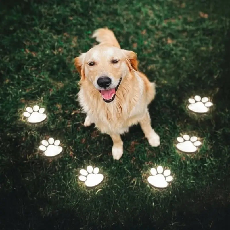Solar Paw Print Lamp – Cozy Garden Lighting for Animal Lovers